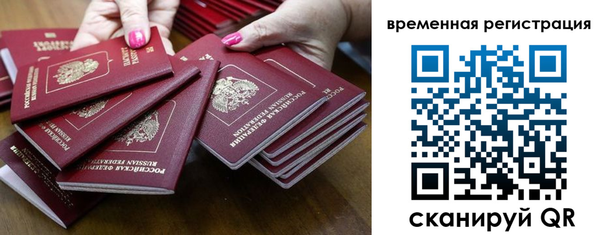 временная регистрация поиск в Болотном